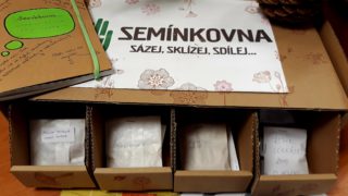 Pilní zahrádkáři již vysévají rajčata i papriky...