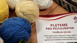 Pleteme pro pěstouňátka
