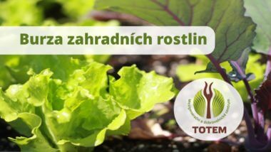 Startujeme burzu zahradních rostlin