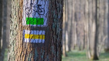 Kodským polesím / TOTEM Senioři