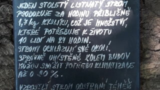 Březen má také své číslo TOTEMových novin / 9