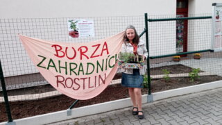 Burza zahradních rostlin / 0