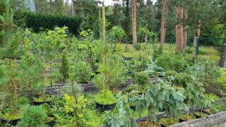 Arboretum Sofronka - nádherný kus přírody ve městě / 3