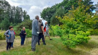 Arboretum Sofronka - nádherný kus přírody ve městě / 8