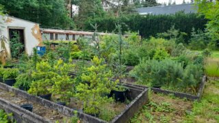 Arboretum Sofronka - nádherný kus přírody ve městě / 9