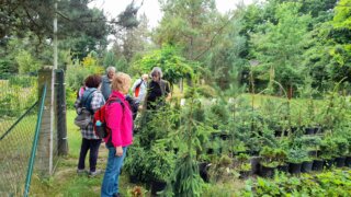 Arboretum Sofronka - nádherný kus přírody ve městě / 10