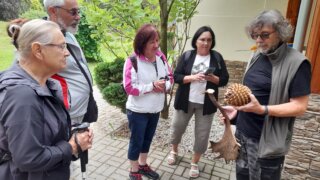 Arboretum Sofronka - nádherný kus přírody ve městě / 14
