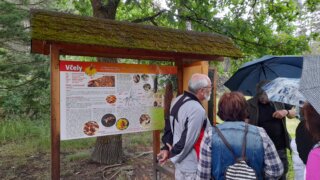 Arboretum Sofronka - nádherný kus přírody ve městě / 17