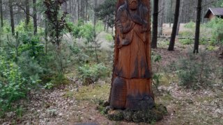 Arboretum Sofronka - nádherný kus přírody ve městě / 18