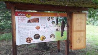 Arboretum Sofronka - nádherný kus přírody ve městě / 19