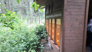 Arboretum Sofronka - nádherný kus přírody ve městě / 20