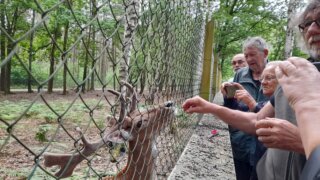 Arboretum Sofronka - nádherný kus přírody ve městě / 22