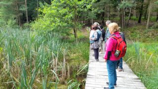 Arboretum Sofronka - nádherný kus přírody ve městě / 25