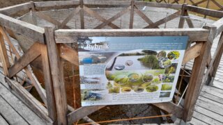 Arboretum Sofronka - nádherný kus přírody ve městě / 27