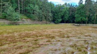 Arboretum Sofronka - nádherný kus přírody ve městě / 28