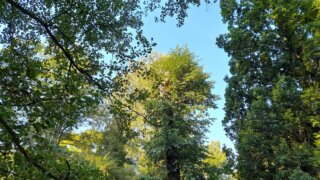 Luftova zahrada v Plzni - exkurze / 5