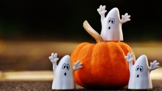 TOTEMový halloween zrušen TOTEMový halloween zrušen