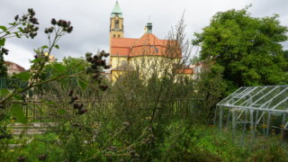 Do zahrad: Klášterní zahrada dominikánů / 9