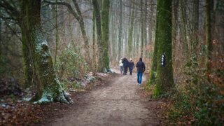 Únorový výlet pro rodiny s dětmi Únorový výlet pro rodiny s dětmi / TOTEM Rodiny a děti