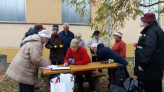 Pétanque u TJ Sokol Doubravka / 1