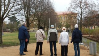 Pétanque v Habrmannově parku / 0