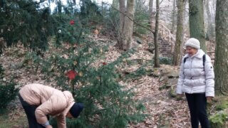 Předvánoční výšlap na Radyni / 1