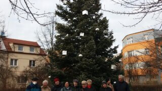 Pétanque v Habrmannově parku / 5
