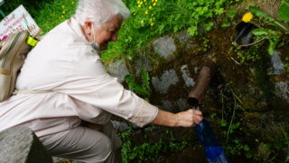 K bukovecké studánce / 2