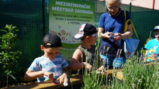 Mezigenerační zahradničení / 16
