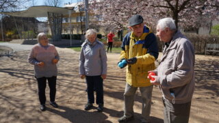 Pétanque v Habrmannově parku / 0