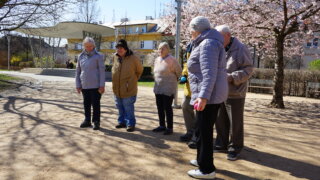 Pétanque v Habrmannově parku / 5