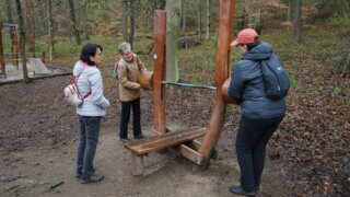 Do lesoparku Martinská stěna / 21