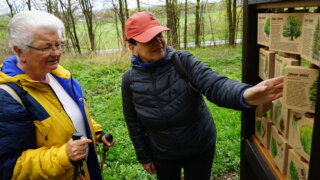 Do lesoparku Martinská stěna / 26