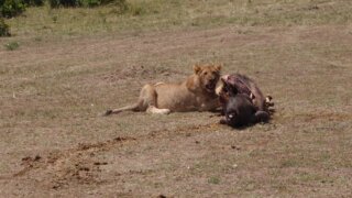 Cestování s batůžkem: Africké putování / 5
