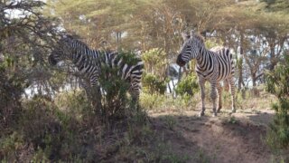 Cestování s batůžkem: Africké putování / 4