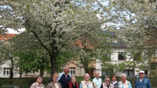 Pétanque v Habrmannově parku / 5