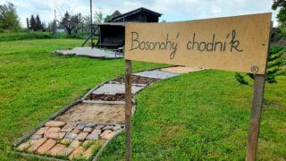 Oáza klidu v Meditační zahradě v Plzni / 34