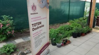 Burza zahradních rostlin / 4