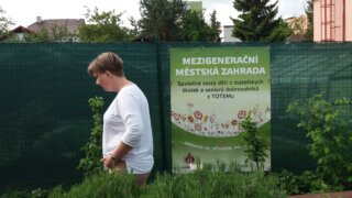 Burza zahradních rostlin / 11