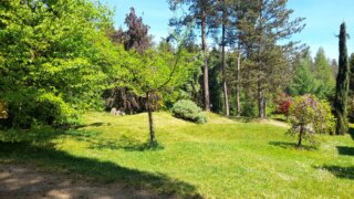 Arboretum Sofronka / 0