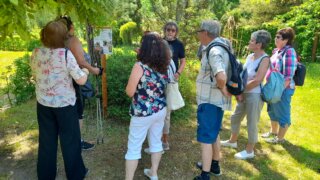Arboretum Sofronka / 2
