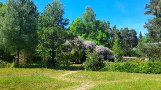 Arboretum Sofronka / 6