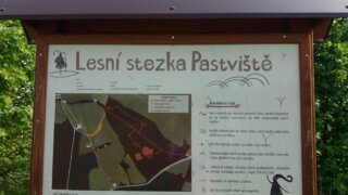 Lesem Pastviště aneb Co je vlastně les? / 2