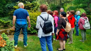 Okrasné zahradnictví a miniarboretum M. Skalský / 2