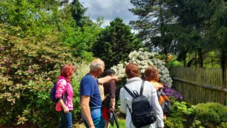 Okrasné zahradnictví a miniarboretum M. Skalský / 6