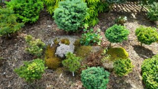 Okrasné zahradnictví a miniarboretum M. Skalský / 7