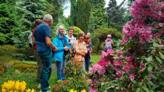 Okrasné zahradnictví a miniarboretum M. Skalský / 21