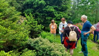Okrasné zahradnictví a miniarboretum M. Skalský / 23