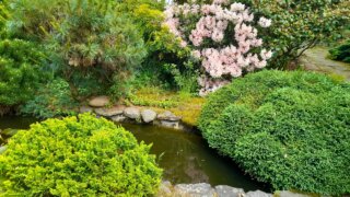 Okrasné zahradnictví a miniarboretum M. Skalský / 25