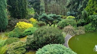 Okrasné zahradnictví a miniarboretum M. Skalský / 27